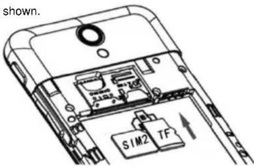 shown. SIM2 TF