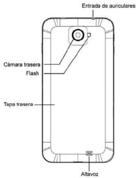 Entrada de auriculares Cámara trasera Flash Tapa trasera Altavoz