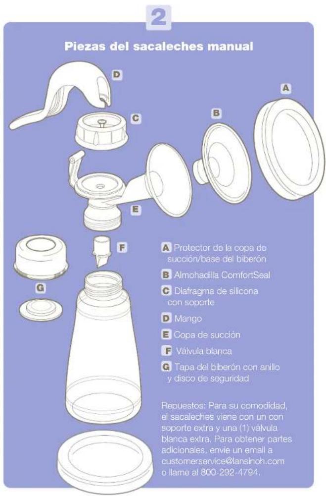 Piezas del sacaleches manual A Protector de la copa de succión/base del biberón B Almohadilla ComfortSeal C Diafragma de silicona con soporte D Mango E Copa de succión F Válvula blanca G Tapa del biberón con anillo y disco de seguridad Repuestos: Para su comodidad, el sacaleches viene con un con soporte extra y una (1) válvula blanca extra. Para obtener partes adicionales, envie un email a customerservice@lansinoh.com o llame al 800-292-4794.