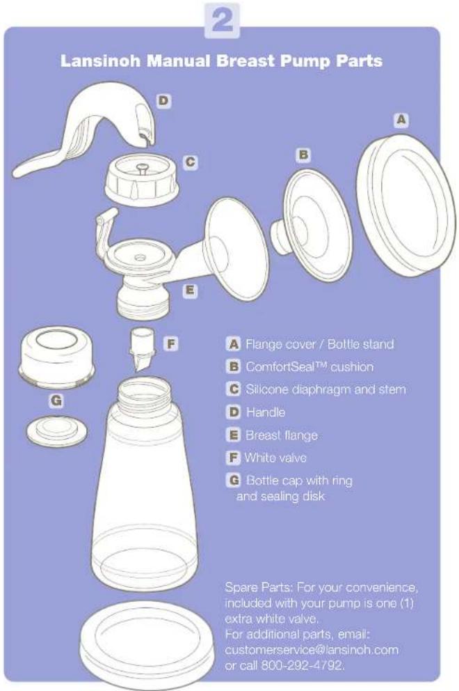 2 Lansinoh Manual Breast Pump Parts A Flange cover / Bottle stand B ComfortSeal™ cushion C Silicone diaphragm and stem D Handle E Breast flange F White valve G Bottle cap with ring and sealing disk Spare Parts: For your convenience, included with your pump is one (1) extra white valve. For additional parts, email: customerservice@lansinoh.com or call 800-292-4792.