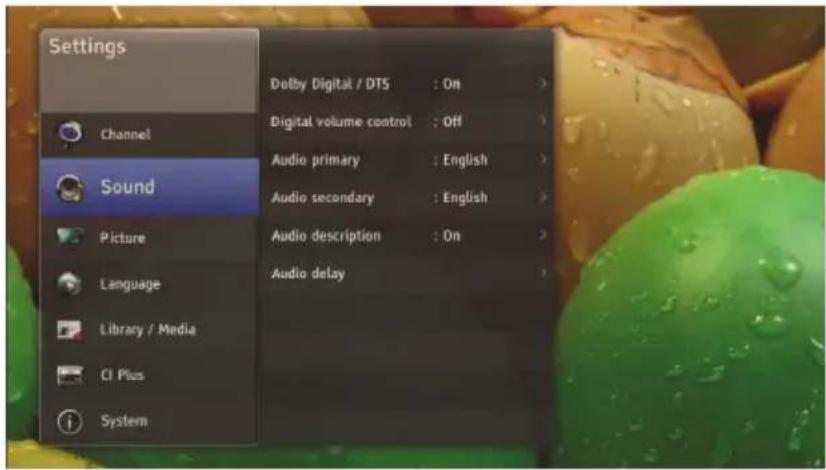 Settings Channel Sound Picture Language Library / Media CI Plus System Dolby Digital / DTS : On > Digital volume control : Off > Audio primary : English > Audio secondary : English > Audio description : On > Audio delay >