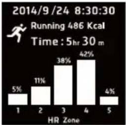 HOLUX Impulse 8100 - No GPS Function (Can only be used with Walking/ Running modes) - 11