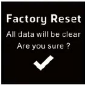 HOLUX Impulse 8100 - Factory Reset - 3