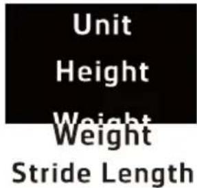 HOLUX Impulse 8100 - Height - 1