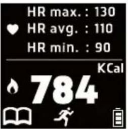 HOLUX Impulse 8100 - No GPS Function (Can only be used with Walking/ Running modes) - 14