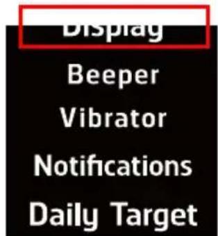 HOLUX Impulse 8100 - Display - 1