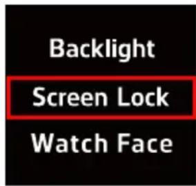 HOLUX Impulse 8100 - Screen Lock - 1