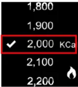 HOLUX Impulse 8100 - Disable Calorie Calculation - 3