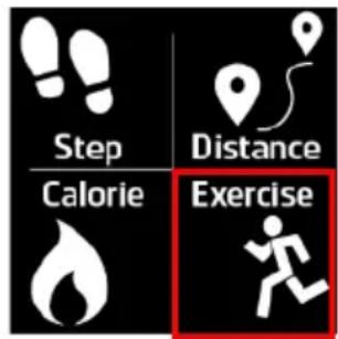 HOLUX Impulse 8100 - Exercise Function - 1