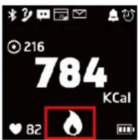 HOLUX Impulse 8100 - Calorie Calculation - 3