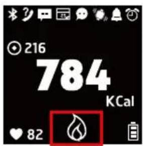 HOLUX Impulse 8100 - Calorie Calculation - 2