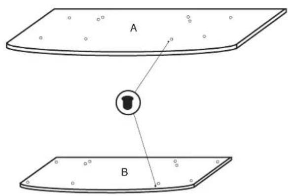 A B