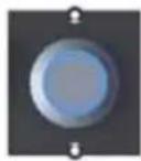 Bachmann 917.169 - Custom module with stainless steel button Black - 1