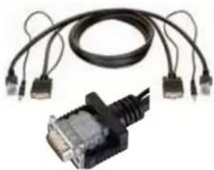 Bachmann 917.169 - STEP BASE 3 x earthing contact, GST18i3 Length: approx. 220 mm - 3