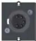Bachmann 917.169 - Custom module 1 x XLR plug 5-pole Black - 1