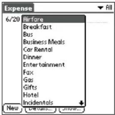 Expense 6/20 Airfare Breakfast Bus Business Meals Car Rental Dinner Entertainment Fax Gas Gifts Hotel Incidentals New Details... Show...