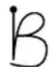 SONY Clié PEG-S320 - There are four basic concepts for success with Graffiti writing: - 2