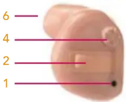 6 4 2 1