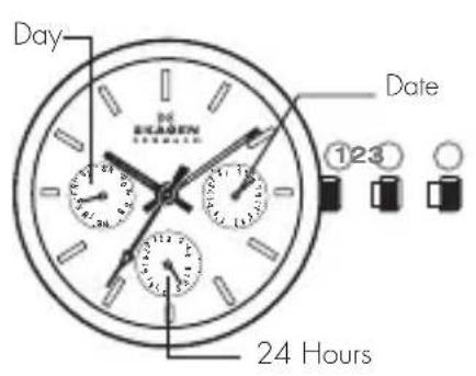 Skagen Ditte - MULTIFUNCTION - 1