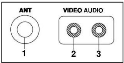 DAEWOO DTQ-19V5FC - Your TV's Back Panel - 1