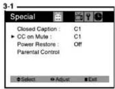 DAEWOO DTQ-19V5FC - CC on Mute - 3