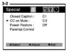 DAEWOO DTQ-13V4FC - CC on Mute - 4