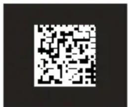 DATALOGIC 94ACC1382 - 2D Codes - 2