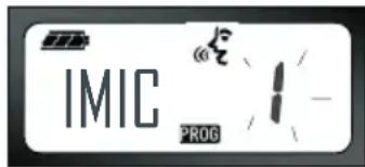 IMIC PROG