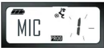 MIC PROG
