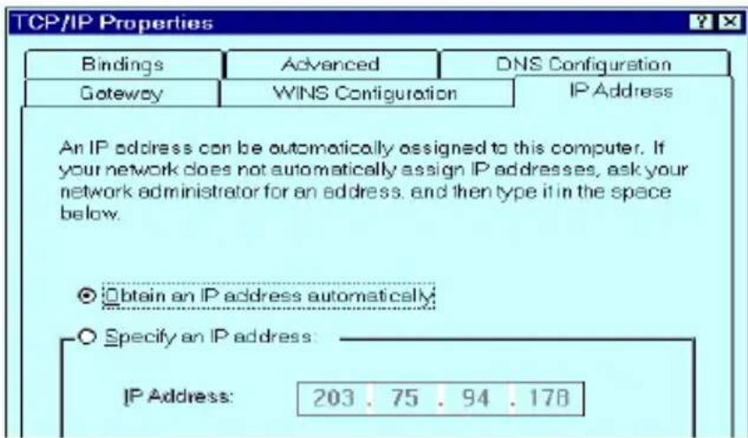 TCP/IP Properties Bindings Advanced DNS Configuration Gateway WINS Configuration IP Address An IP address can be automatically assigned to this computer. If your network does not automatically assign IP addresses, ask your network administrator for an address, and then type it in the space below. Obtain an IP address automatically; Specify an IP address: IP Address: 203 . 75 . 94 . 178