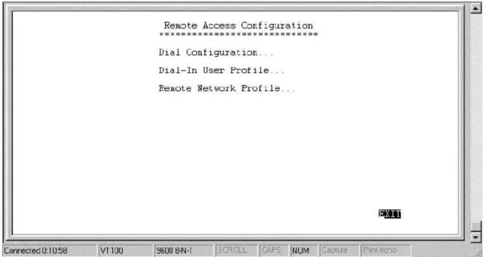 Remote Access Configuration Dial Configuration... Dial-In User Profile... Remote Network Profile...