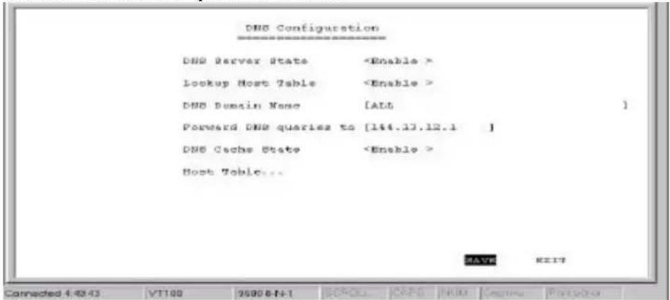 DNS Configuration DNS Server State Lookup Host Table DNS Domain Name [ALL ] Forward DNS queries to [144.13.12.1 ] DNS Cache State Host Table... SAYT EXIT Connected 4:48:43 VT100 9500 8-1-1 SCROLL CAPS HMO CACCA PAPC00
