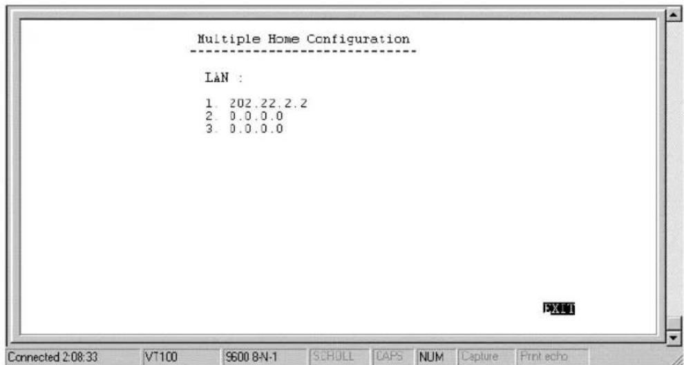 Multiple Home Configuration LAN : 1. 202.22.2.2 2. 0.0.0.0 3. 0.0.0.0 PT100 Connected 2:08:33 VT100 S600 8N-1 SCHULL CAPS NUM Capture Print echo
