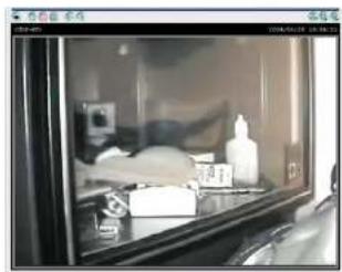 TRENDNET TV-IP300W - Viewing the Camera - 1