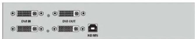 DVI IN DVI OUT KB MS