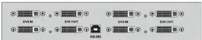 DVI IN DVI OUT KB-MS DVI IN DVI OUT