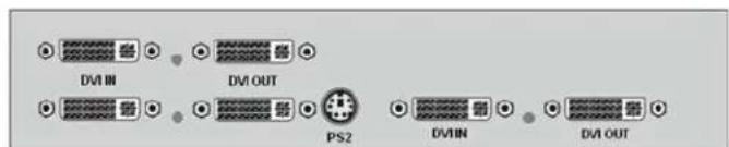 DVI IN DVI OUT PS2 DVI IN DVI OUT