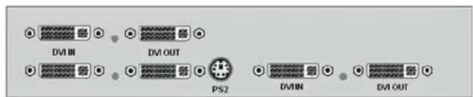 DVI IN DVI OUT PS2 DVI IN DVI OUT