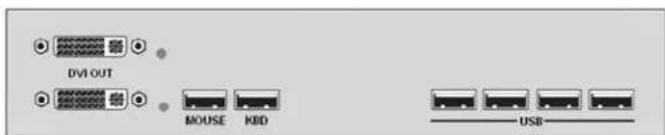 DVI OUT MOUSE KBD USB