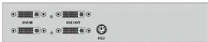 DVI IN DVI OUT PS2