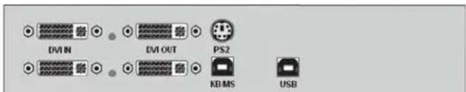 DVI IN DVI OUT PS2 KB-MS USB