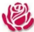 Rose CRK-M2P-2 - EUROPEAN UNION DECLARATION OF CONFORMITY ACCORDING TO COUNCIL DIRECTIVE 89/336EEC & 73/23EEC - 2