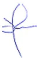 Datapath VisionSDI2 - DECLARATION OF CONFORMITY - 2