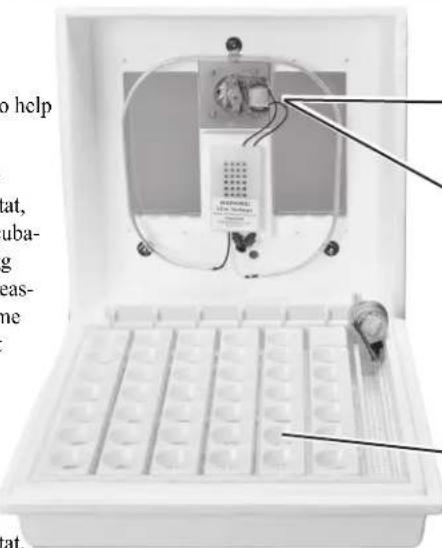 Little Giant 6302 - Still Air Incubator - 1