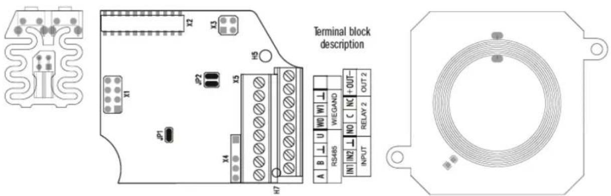 Terminal block description X2 X3 X1 JP2 X5 H5 JP1 X4 H7 A B ⊥ U W0 W1 ⊥ RS485 WEGAND IN1 IN2 ⊥ NO C NC +OUT- INPUT RELAY 2 OUT 2