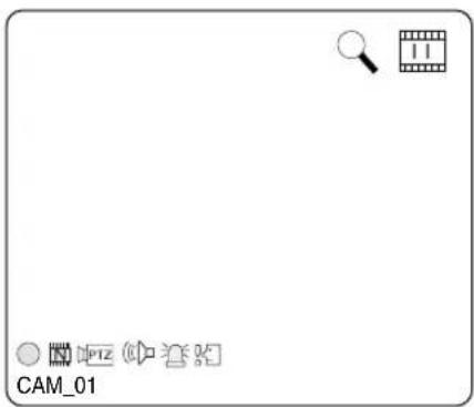 SAMSUNG SHR-2042P2 - Definition of Live Screen Icon - 1