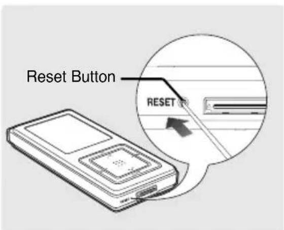 Reset Button RESET