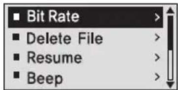 Bit Rate Delete File Resume Beep