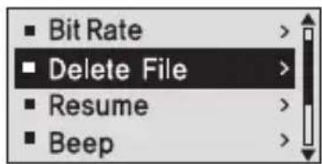 Bit Rate Delete File Resume Beep
