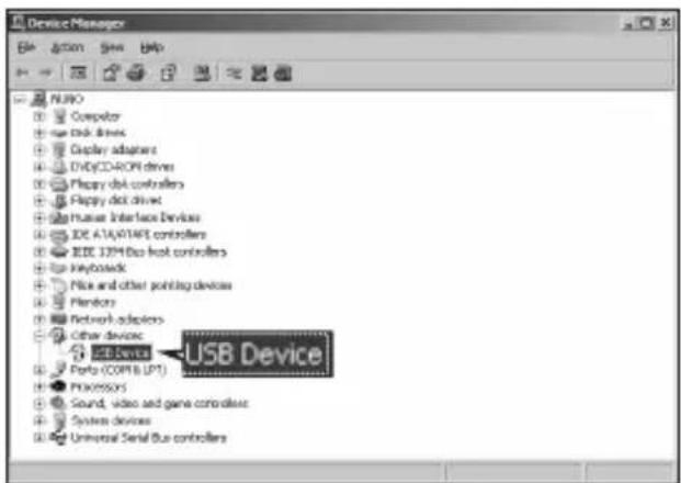 Device Manager File Action Save Help NURO Computer run disk drives Display adapters DVD/CD-ROM drives Playbox disk controllers Playbox disk drive Human Interface Devices IDE ATA/VIAPI controllers IDE I2M Disk heat controllers Keyboard File and other pointing devices Plendors Network adapters Other devices USB Device Porto (COMB LP1) Processors Sound, video and game controllers System devices Universal Serial bus controllers